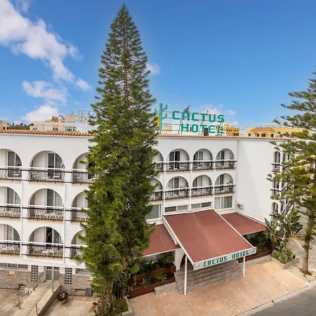 Cactus 2*