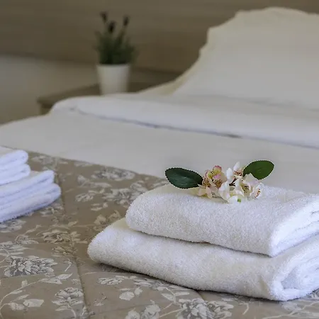 仙人掌酒店 拉纳卡