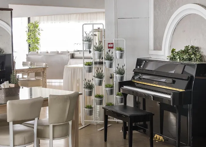 Cactus 2* Λάρνακα