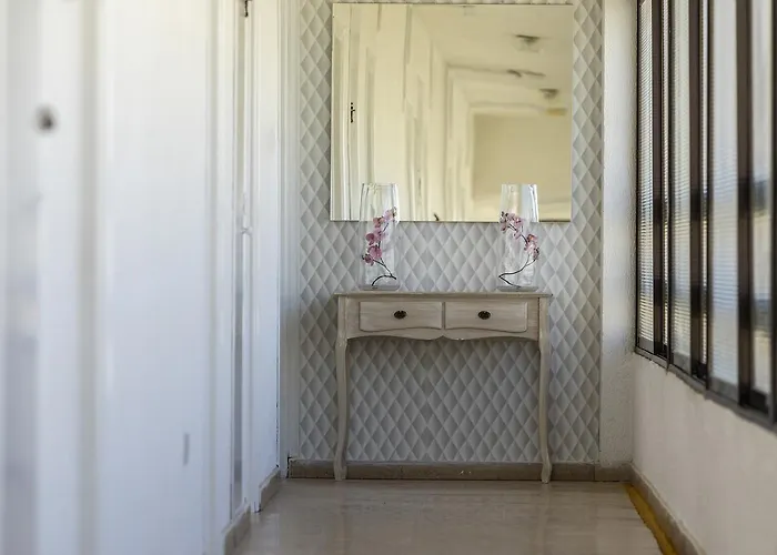 Cactus Λάρνακα