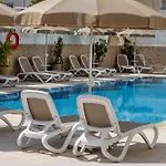 كاكتوس