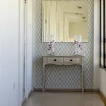 كاكتوس لارنكا